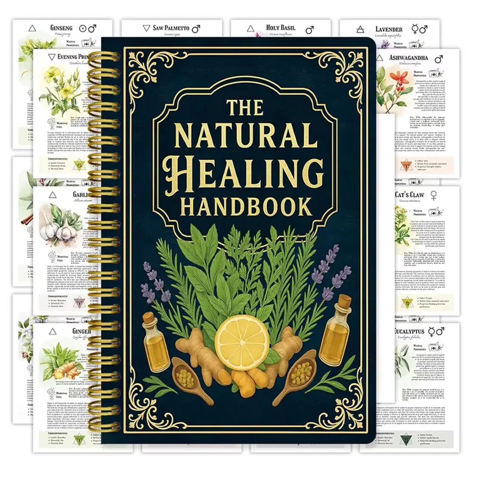 Health & Wellness Fairs - Healing Handbook By Luna Filby English